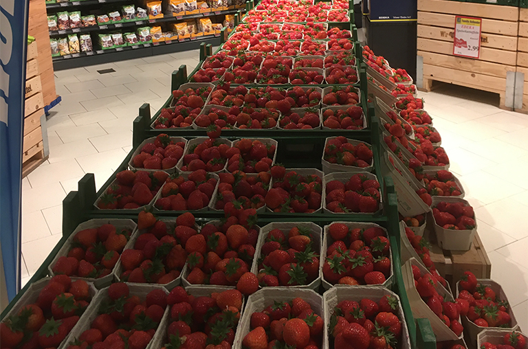 Erdbeeren vom Spargelhof Werner im Markt von EDEKA Hollender