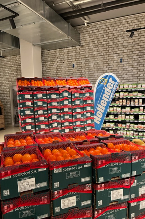 Frische Orangen und weitere vitaminreiche Zitrusfrüchte liegen bei EDEKA Hollender von verschiedenen Lieferanten zum Kauf bereit.