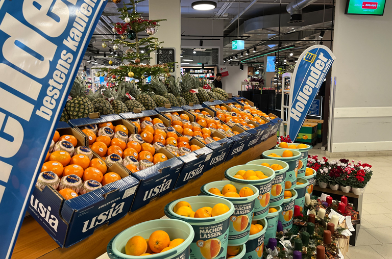 Frische Orangen und weitere vitaminreiche Zitrusfrüchte liegen bei EDEKA Hollender von verschiedenen Lieferanten zum Kauf bereit.