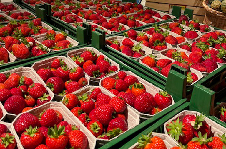 Die frischen Erdbeeren von Werner aus Deinste locken in der Obst- und Gemüseabteilung von EDEKA Hollender mit ihrer tiefroten Farbe