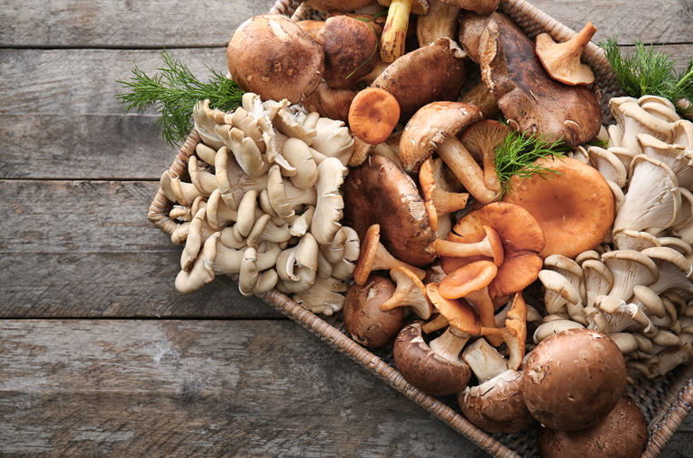 So schmeckt der Herbst. EDEKA Hollender bietet sämtliche stilechte Spezialitäten zum Start der kalten Jahreszeit