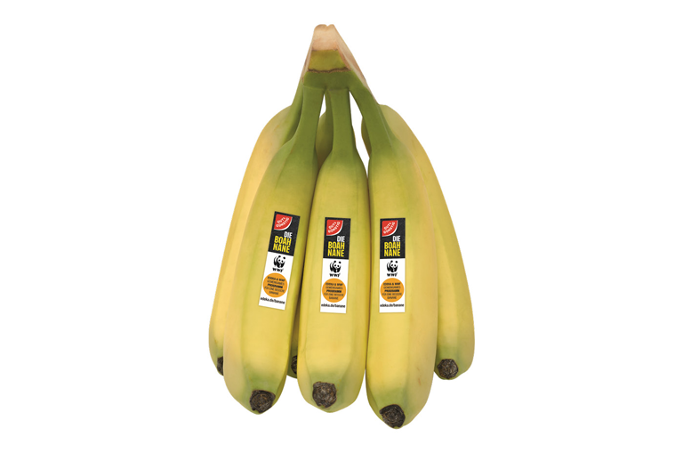 Die BOAHNANE – gekennzeichnet durch das rote GUT&GÜNSTIG-Logo – verbindet umweltbewusste Produktion mit fairen Preisen und setzt damit neue Maßstäbe im herkömmlichen Bananenhandel.